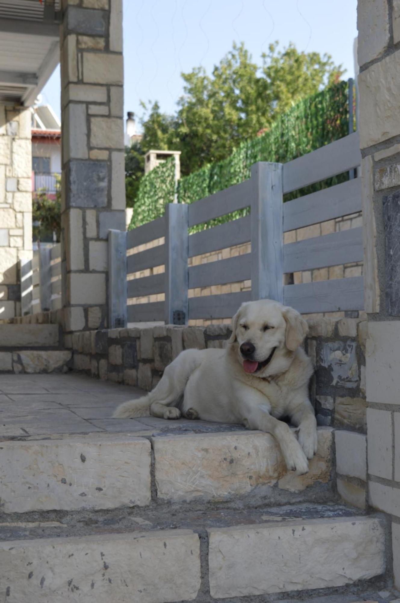 Prassás Aquarock Villa With Private Pool מראה חיצוני תמונה
